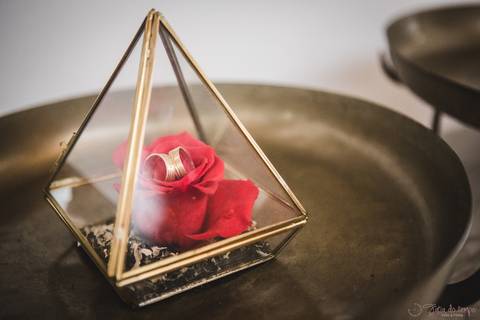 Mini wedding, mini casamento, casamento intimista, casamento intimo, casamento pequeno, casamento rustico, cozinha de autor, alianças de casamento'