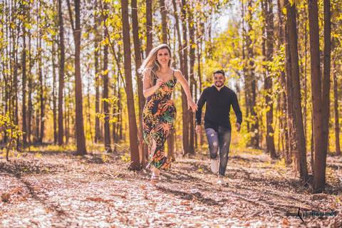 Campo de eucaliptos, ensaio em holambra, pre casamento em holambra, campo de girassol, girassol, casal no campo de girassol, fotos no campo de girassol, holambra, ensaio pre casamento girassol, foto campo de eucaliptos'