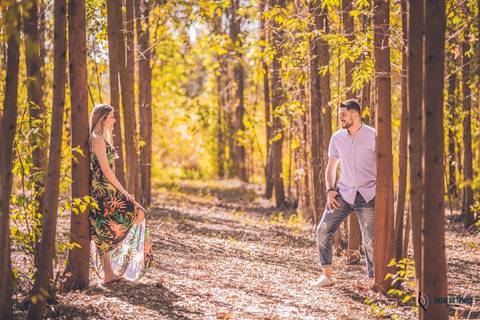 Campo de eucaliptos, ensaio em holambra, pre casamento em holambra, campo de girassol, girassol, casal no campo de girassol, fotos no campo de girassol, holambra, ensaio pre casamento girassol, foto campo de eucaliptos'