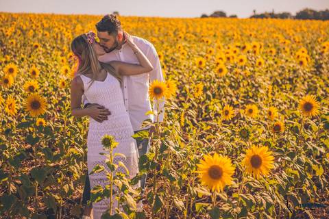 Campo de eucaliptos, ensaio em holambra, pre casamento em holambra, campo de girassol, girassol, casal no campo de girassol, fotos no campo de girassol, holambra, ensaio pre casamento girassol, foto campo de eucaliptos'