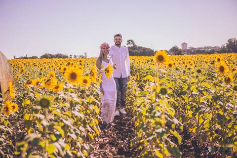 Campo de eucaliptos, ensaio em holambra, pre casamento em holambra, campo de girassol, girassol, casal no campo de girassol, fotos no campo de girassol, holambra, ensaio pre casamento girassol, foto campo de eucaliptos'
