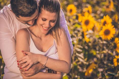 Campo de eucaliptos, ensaio em holambra, pre casamento em holambra, campo de girassol, girassol, casal no campo de girassol, fotos no campo de girassol, holambra, ensaio pre casamento girassol, foto campo de eucaliptos'