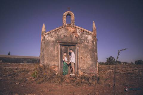 Campo de eucaliptos, ensaio em holambra, pre casamento em holambra, campo de girassol, girassol, casal no campo de girassol, fotos no campo de girassol, holambra, ensaio pre casamento girassol, foto campo de eucaliptos'