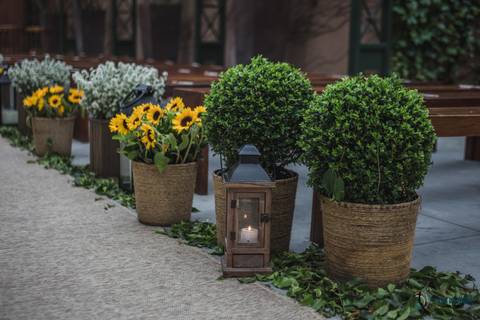 Sitio São Jorge, Espava Vdara, Sitio São Jorge Varangas, Casando no Sitio, Casamento Rustico, Casando no Campo, Casamento no campo, Vestido de noiva sereia, Noivo terno azul, girassol, decoração de casamento com girassol'