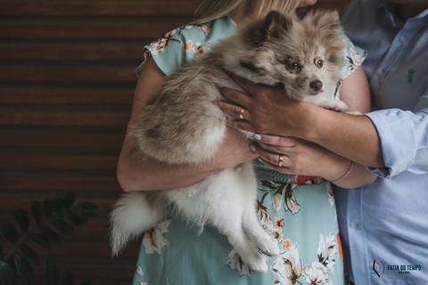 casamento civil, cartorio civil de são caetano do sul, casando em são caetano do sul, casando no civil, casamento só no civil, fotos de civil, mini wedding, civil e jantar, casando com pouco, noiva, noivo, cachorro no casamento, nico pasta e basta'