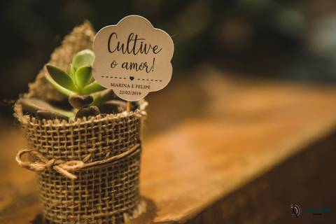casamento civil, cartorio civil de são caetano do sul, casando em são caetano do sul, casando no civil, casamento só no civil, fotos de civil, mini wedding, civil e jantar, casando com pouco, noiva, noivo, cachorro no casamento, nico pasta e basta'