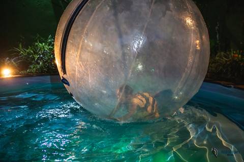 Cakky Balako, buffet infantil em santo andré, buffet infantil em são caetano do sul, buffet infantil no abc, buffet cakky balako, tema lol, lol, aniversário no abc, fotografo de aniversario, fotografia de aniversário, aniversário tema lol'