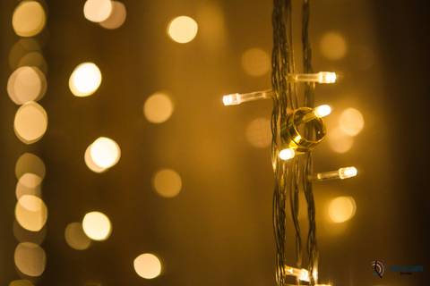 igreja matriz são caetano, igreja sagrada familia são caetano, casando na igreja, casamento na igraja, noiva classica, casamento classico, buffet tulipas, festa de casamento classico, vestido de noiva, buquet vermelho'