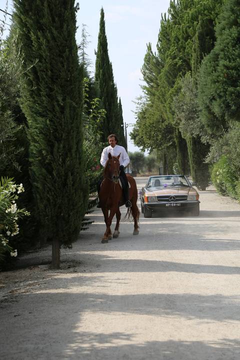 Casamento Joana & Diogo 
Quinta dos Tiagos'