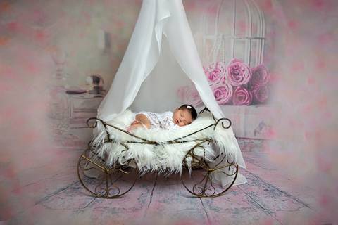 ensaio-newborn-zona-norte'