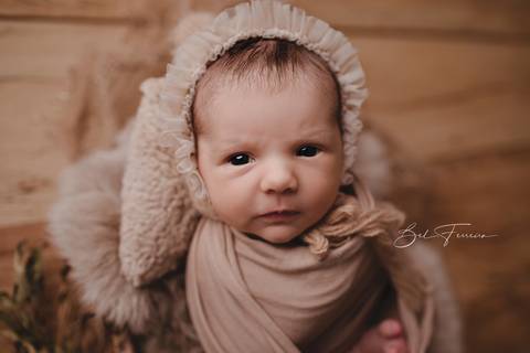 fotografia newborn curitiba'