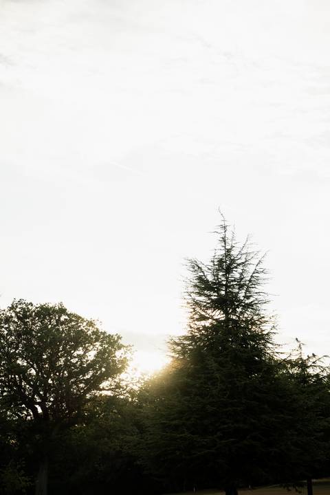 '