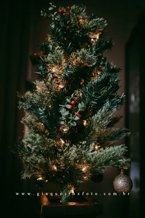 Ensaio Família Natal em casa'
