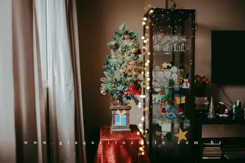 Ensaio Família Natal em casa'