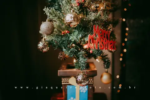 Ensaio Família Natal em casa'