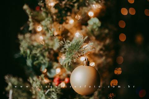 Ensaio Família Natal em casa'