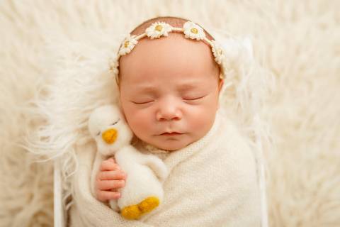 #patinho, #recémnascido
#sessãobebé'