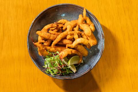 felipe-lopes-fotografia-fotografo-em-osorio-ensaio-empresarial-restaurante-rechaud-comida-japonesa-foto-de-comida'