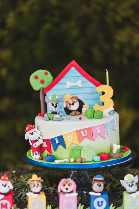 felipe-lopes-fotografia-fotografo-em-osorio-festa-infantil-menino-patrulha-canina-3-anos-palmares-do-sul'