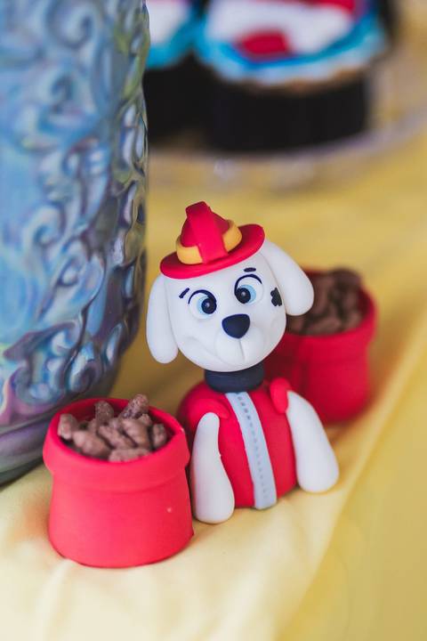 felipe-lopes-fotografia-fotografo-em-osorio-festa-infantil-menino-patrulha-canina-3-anos-palmares-do-sul'