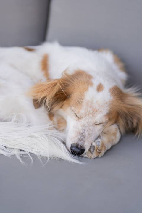 felipe-lopes-fotografia-fotografo-em-osorio-evento-de-residentes-de-ortopedia-encontro-de-medicos-happy-hour-churrasco-no-por-do-sol-em-eldorado-do-sul'