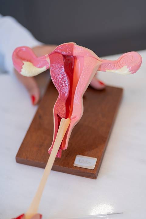 felipe-lopes-fotografia-fotografo-em-osorio-ensaio-empresarial-ginecologista-clinica-no-hospital-life-plus-xangri-la'