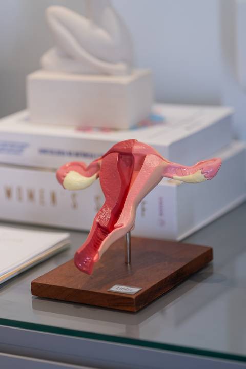 felipe-lopes-fotografia-fotografo-em-osorio-ensaio-empresarial-ginecologista-clinica-no-hospital-life-plus-xangri-la'