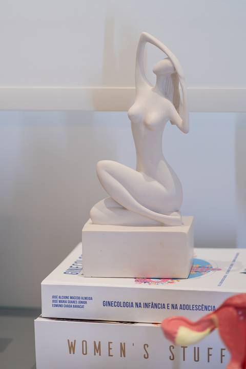 felipe-lopes-fotografia-fotografo-em-osorio-ensaio-empresarial-ginecologista-clinica-no-hospital-life-plus-xangri-la'