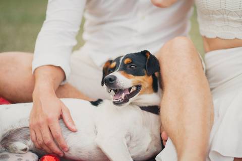 fotografo-em-osorio-felipe-lopes-fotografia-ensaio-de-casal-externo-na-natureza-com-cachorro-pet-em-tramandai-condominio-marina-park-residence'