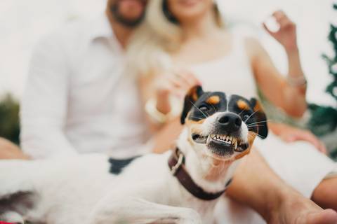 fotografo-em-osorio-felipe-lopes-fotografia-ensaio-de-casal-externo-na-natureza-com-cachorro-pet-em-tramandai-condominio-marina-park-residence'