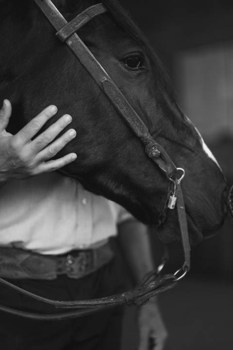 felipe-lopes-fotografia-fotografo-em-osorio-litoral-norte-gaucho-rs-ensaio-ct-guto-freire-vencedor-freio-de-ouro-fotos-com-os-cavalos-no-campo-conexao-e-paixao'