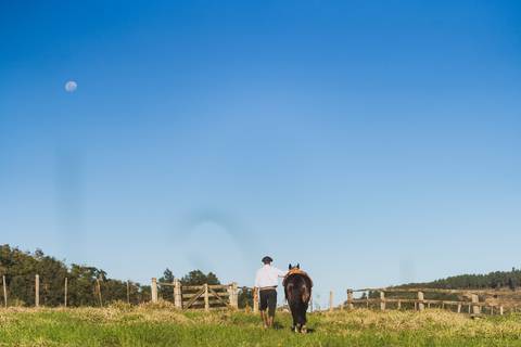 felipe-lopes-fotografia-fotografo-em-osorio-litoral-norte-gaucho-rs-ensaio-ct-guto-freire-vencedor-freio-de-ouro-fotos-com-os-cavalos-no-campo-conexao-e-paixao'