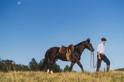 felipe-lopes-fotografia-fotografo-em-osorio-litoral-norte-gaucho-rs-ensaio-ct-guto-freire-vencedor-freio-de-ouro-fotos-com-os-cavalos-no-campo-conexao-e-paixao'