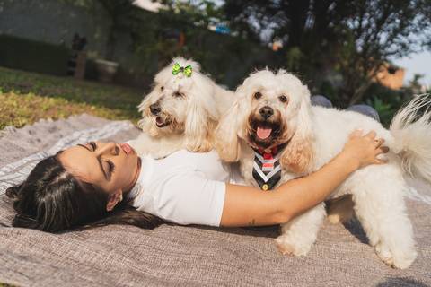 felipe-lopes-fotografia-fotografo-em-osorio-litoral-norte-gaucho-rs-ensaio-de-formatura-toga-medicina-veterinaria-fotos-com-cachorros-campo-e-cavalo-em-canoas'