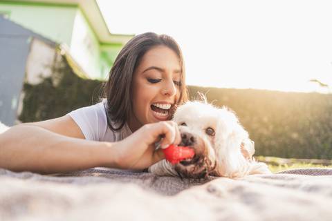 felipe-lopes-fotografia-fotografo-em-osorio-litoral-norte-gaucho-rs-ensaio-de-formatura-toga-medicina-veterinaria-fotos-com-cachorros-campo-e-cavalo-em-canoas'