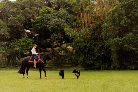 felipe-lopes-fotografia-fotografo-em-osorio-litoral-norte-gaucho-rs-ensaio-de-quinze-anos-15-anos-em-palmares-do-sul-no-campo-fazenda-animais-cavalo-campeiro'