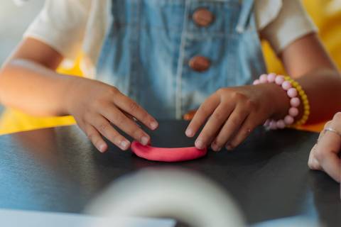 felipe-lopes-fotografia-fotografo-em-osorio-litoral-norte-gaucho-rs-ensaio-empresarial-de-professora-at-e-psicopedagoga'