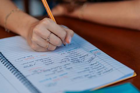 felipe-lopes-fotografia-fotografo-em-osorio-litoral-norte-gaucho-rs-ensaio-empresarial-de-professora-at-e-psicopedagoga'