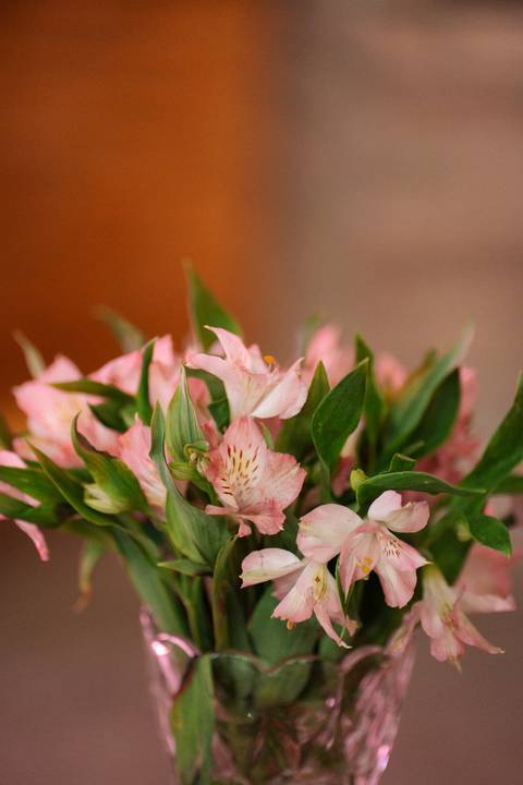 felipe-lopes-fotografia-fotografo-em-osorio-litoral-norte-gaucho-rs-festa-de-15-anos-em-palmares-do-sul'