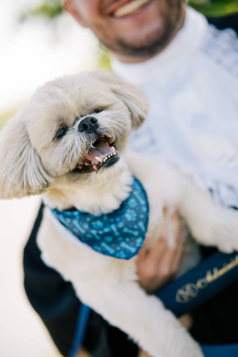 felipe-lopes-fotografia-fotografo-em-osorio-litoral-norte-do-rio-grande-do-sul-ensaio-de-toga-turma-de-formandos-curso-de-administracao-FURG-santo-antonio-da-patrulha-ensaio-externo-com-família-retratos-individuais-espontaneo-leve-natureza-por-do-sol'