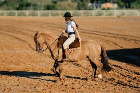fotografo-em-osorio-litoral-norte-rio-grande-do-sul-felipe-lopes-fotografia-ensaio-de-xv-anos-quinze-no-campo-ct-guto-freire-cavalos-violino-por-do-sol-familia'