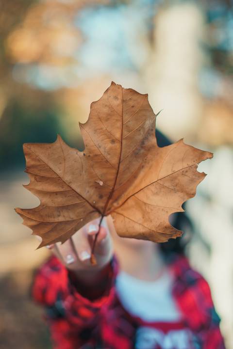 Ensaio de 15 Anos da Luani Sinhoreli, Osório - Santo Antonio da Patrulha

Junho de 2021'