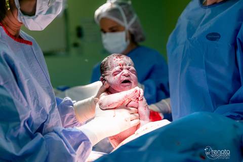 obstetra luciana vieira lopes'