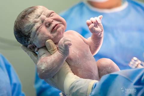 obstetra nazaré falcon'