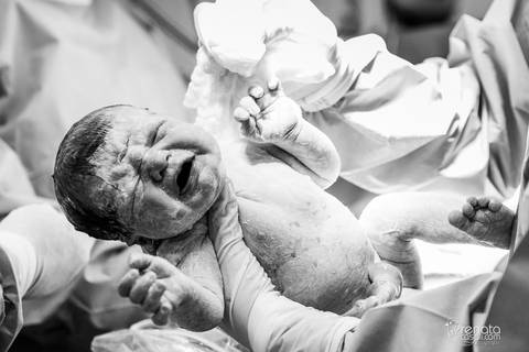 obstetra nazaré falcon'