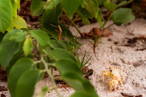 pre-wedding-pamela-jonatas-praia-das-conchas-guaruja-may-e-jose-fotografia'