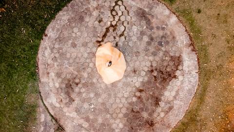 ensaio-15-anos-julia-lopes-debutante-hípica-centaurus-tatuí-registros-cheio-de-amor-ensaio-clássico-a-bela-e-a-fera-may-e-jose-fotografia'