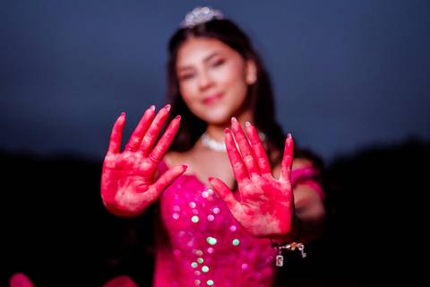 ensaio-15-anos-laura-araujo-debutante-sitio-das-borboletas-piedade-registros-cheio-de-amor-ensaio-clássico-may-e-jose-fotografia-tatui-vestido-rosa'