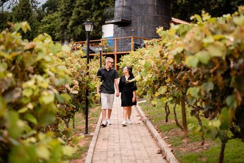 Pré wedding da Letícia e Rodrigo realizado na Rota do Vinho, em São Roque na Quinta do Olivardo fotografado por May e José Fotografia'