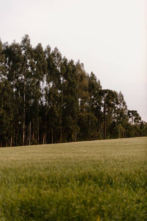 '